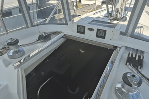 Paws  amp  Chill 42ft Hunter Yacht For Sale