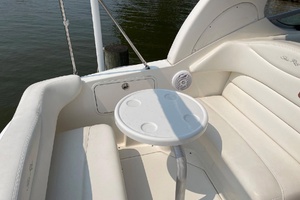 SeaFood 28ft Sea Ray Yacht For Sale