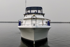 Liquid Assets 44ft Carver Yacht For Sale