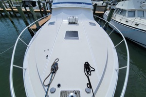 Always Something 50ft Bertram Yacht For Sale
