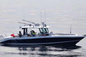42FT (12.8M) HCB