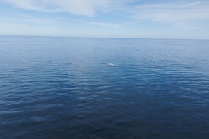 42FT (12.8M) HCB