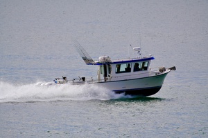 HERRING IMPAIRED 42ft Little Hoquiam Yacht For Sale