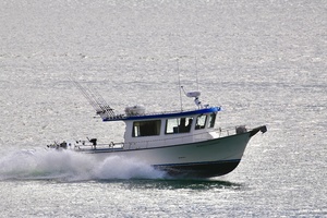 HERRING IMPAIRED 42ft Little Hoquiam Yacht For Sale