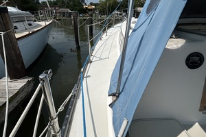 Lucky Dog 35ft Pearson Yacht For Sale