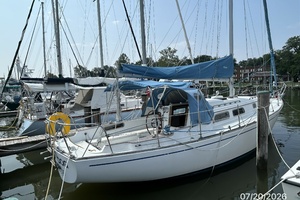 Lucky Dog 35ft Pearson Yacht For Sale