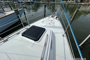 Lucky Dog 35ft Pearson Yacht For Sale