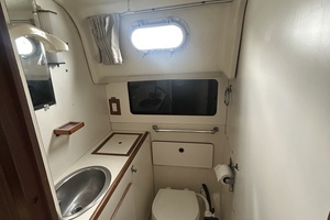 Lucky Dog 35ft Pearson Yacht For Sale