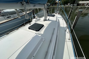 Lucky Dog 35ft Pearson Yacht For Sale