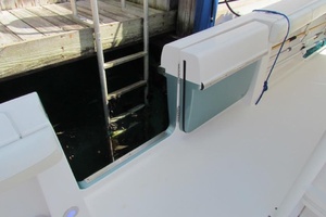 42ft Everglades Yacht For Sale