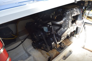 Waves of Blue 30ft Bayliner Yacht For Sale