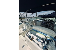 Fiasco 29ft Sea Ray Yacht For Sale