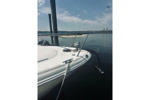 Fiasco 29ft Sea Ray Yacht For Sale