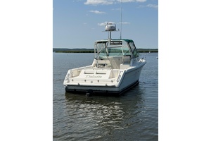 Dolcetto 28ft Pursuit Yacht For Sale
