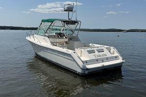 Dolcetto 28ft Pursuit Yacht For Sale