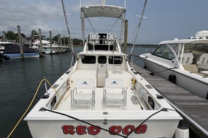 31ft Bertram Yacht For Sale