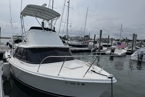 31ft Bertram Yacht For Sale