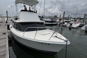 31ft Bertram Yacht For Sale