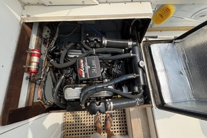 31ft Bertram Yacht For Sale