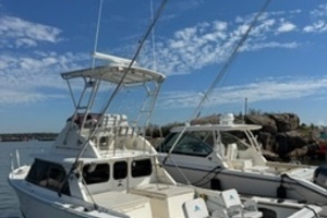 31ft Bertram Yacht For Sale
