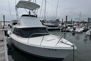 31ft Bertram Yacht For Sale