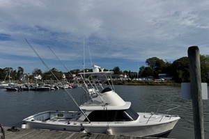 31ft Bertram Yacht For Sale