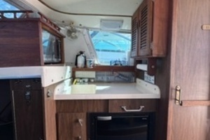 31ft Bertram Yacht For Sale