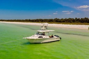 Reel Doctor 32ft Grady White Yacht For Sale
