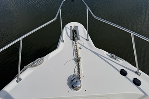 Knot Dead Yet 45ft Sea Ray Yacht For Sale