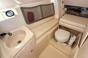 Irish Delight 30ft Grady White Yacht For Sale