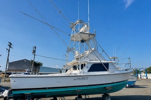 Lets Go 31ft Bertram Yacht For Sale