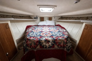 Reel Chaos 40ft Mainship Yacht For Sale
