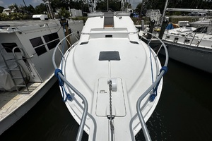 Reel Chaos 40ft Mainship Yacht For Sale