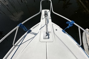 Reel Chaos 40ft Mainship Yacht For Sale
