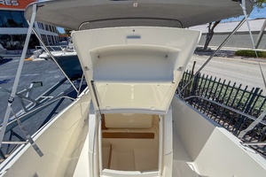 20ft White Shark Yacht For Sale