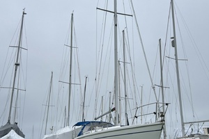 Magnolia 36ft Catalina Yacht For Sale