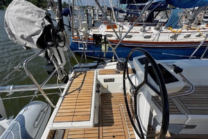 WHARF RAT