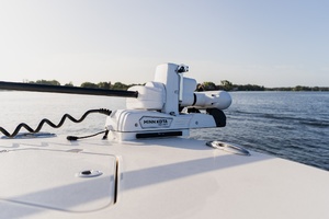 34FT (10.54M) YOUNG