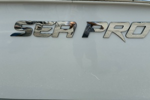 24ft Sea Pro Yacht For Sale