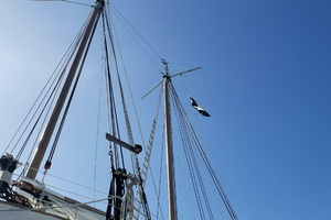 Daniel Webster Clements 54ft Custom Yacht For Sale