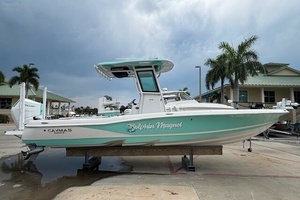 Dolphin Magnet 28ft Caymas Yacht For Sale
