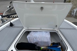 Dolphin Magnet 28ft Caymas Yacht For Sale