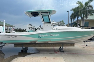 Dolphin Magnet 28ft Caymas Yacht For Sale