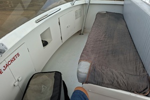 43ft Post Yacht For Sale
