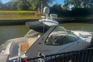 31ft Sea Ray Yacht For Sale