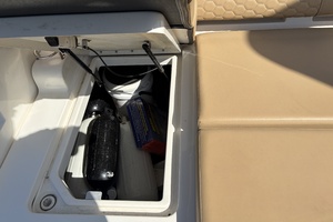 Photo 7458893 for 2021 Sea Ray 290 SDX  