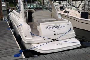 SERENITY NOW 30ft Sea Ray Yacht For Sale