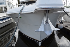 Andiamo 44ft Carver Yacht For Sale