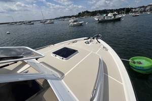 The Pearl 33ft True North Yacht For Sale