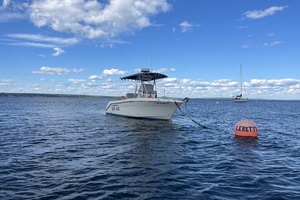 SEA HAG 22ft Century Yacht For Sale